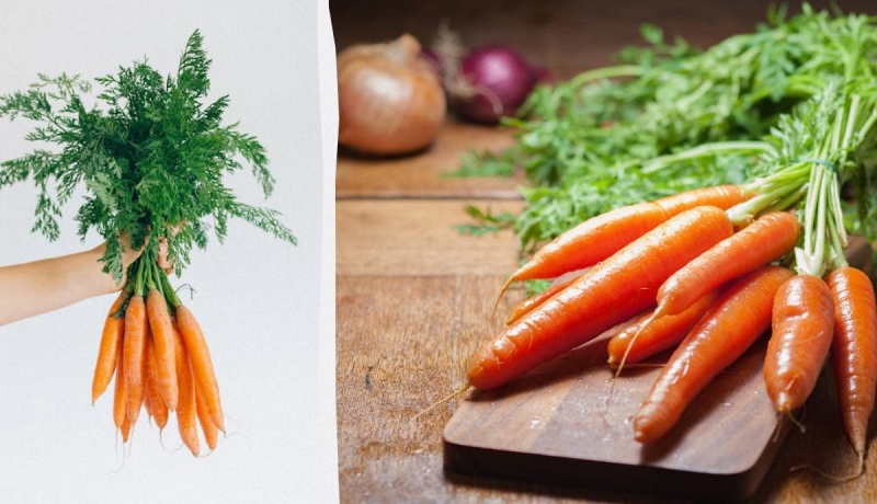Тільки один спосіб допоможе зберегти моркву свіжою до 10 днів: у чому він полягає