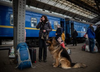 “Укрзалізниця” запускає в поїздах платний Wi-Fi на Starlink