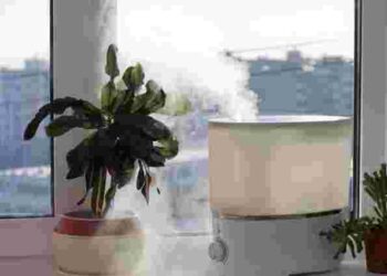 Невидима загроза: 6 речей у домі, які псують повітря