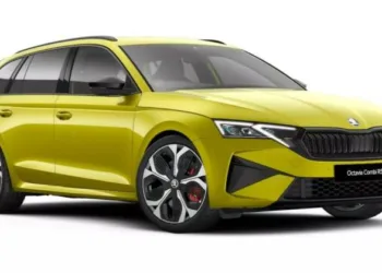 Škoda делегувала вибір нового кольору інтернету — переміг Dragon Skin