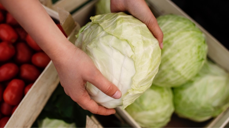 Ці сорти капусти ідеальні для засолювання &mdash; що варто посадити