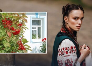 Цю рослину боялися садити біля дому — що знали предки про калину