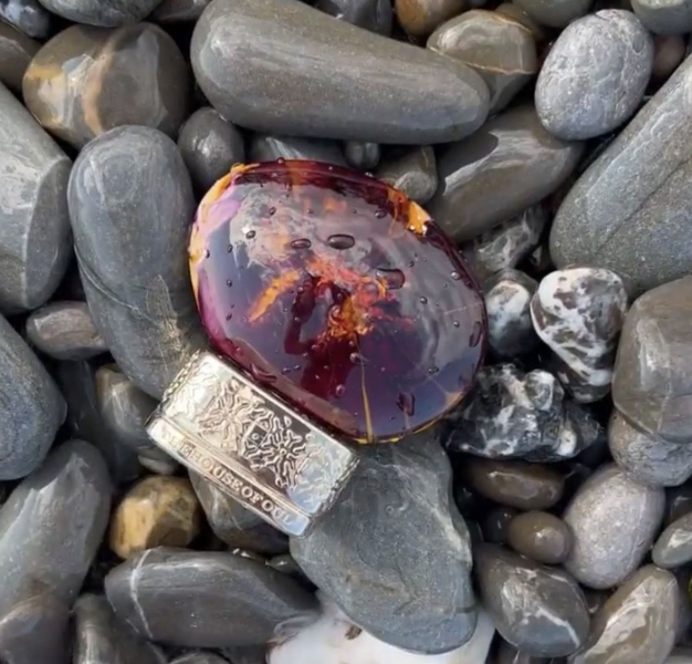 5 теплих ароматів із кавою та спеціями для тих, хто любить затишок у кожній ноті