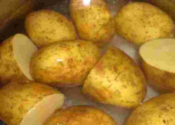 Безкоштовне добриво з кухні: який відвар може врятувати рослини і на підвіконні, і на грядці