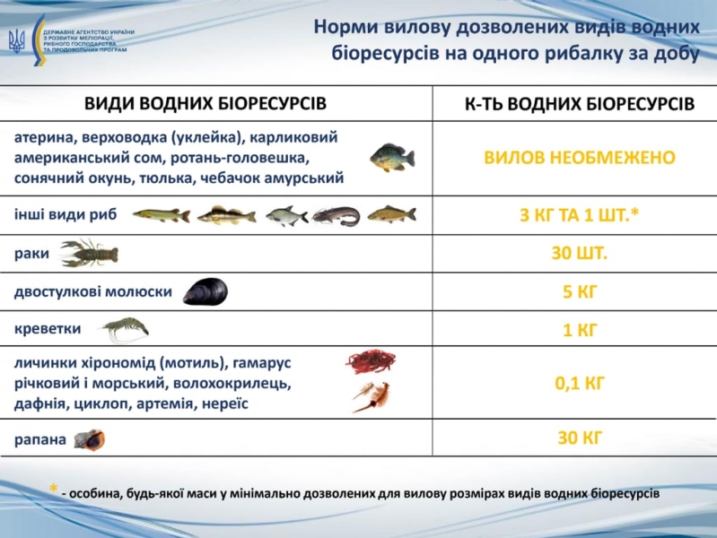 Весняний сезон з новими штрафами &mdash; за що каратимуть рибалок у 2026 році