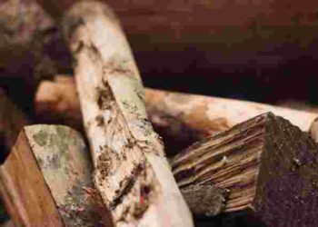 Розпалити піч реально: що робити, якщо дрова відсиріли