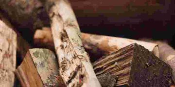 Розпалити піч реально: що робити, якщо дрова відсиріли