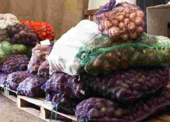 Як зберегти овочі в мішках до весни: простий трюк з картоном