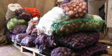 Як зберегти овочі в мішках до весни: простий трюк з картоном