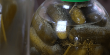 Есть или выбросить: что означает белая пленка на квашеных огурцах