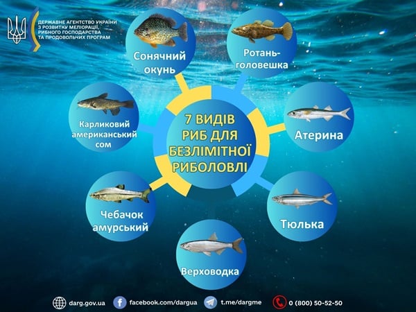 7 видів риби, які у 2026 році можна ловити без обмежень &mdash; перелік