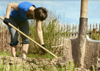 Страсний тиждень 2026: чи дозволено працювати на городі та в саду