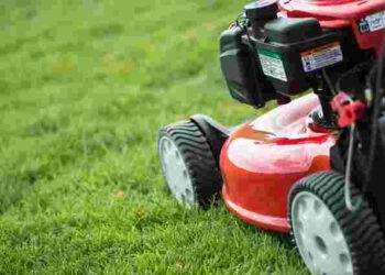 Спростіть собі життя: чому навесні можна не косити газон і як це на нього вплине