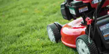 Спростіть собі життя: чому навесні можна не косити газон і як це на нього вплине