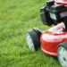 Спростіть собі життя: чому навесні можна не косити газон і як це на нього вплине