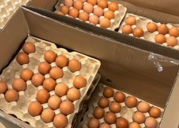 Для курячих яєць переписали ціни: скільки коштує одна штука в АТБ