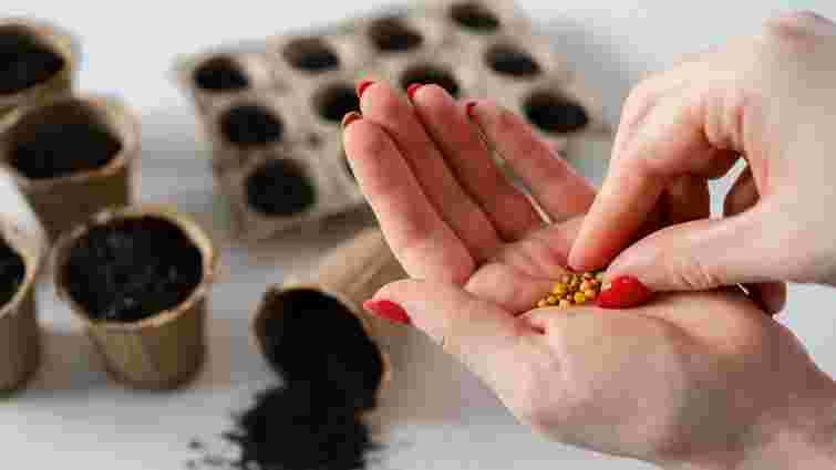 Не викидайте прострочене насіння: що ще може зійти і зекономити вам гроші