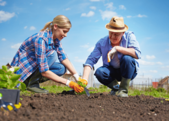 Вербна неділя 2026: чи можна працювати на городі та в саду