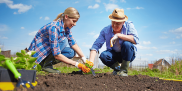 Вербна неділя 2026: чи можна працювати на городі та в саду