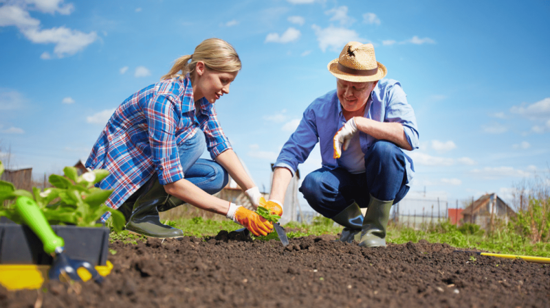 Вербна неділя 2026: чи можна працювати на городі та в саду