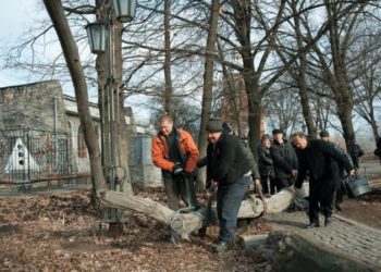 Чи можна без дозволу рубати на дрова дерева, які ростуть на межі з сусідом