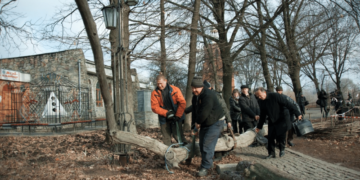 Чи можна без дозволу рубати на дрова дерева, які ростуть на межі з сусідом