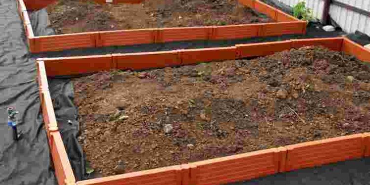 Ранній врожай гарантований: як облаштувати теплі грядки власноруч