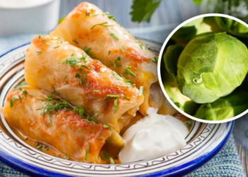 Будут таять во рту — из какой капусты получаются самые нежные голубцы?