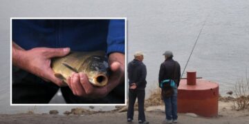 Ставок в оренді — хто може рибалити безплатно у 2026 році