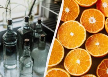 Чому господині настоюють апельсинові шкірки з оцтом: як її використовують у побуті