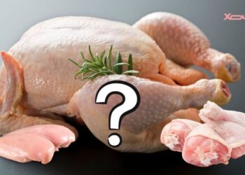 Что выгоднее купить — куриную грудку или бедро: в каком случае переплачивать за кости выгодно?