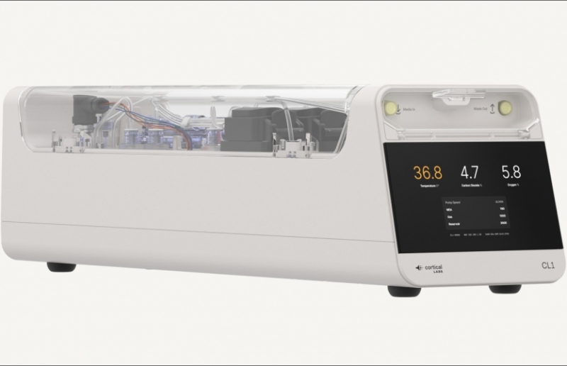 Cortical Labs будують перший дата-центр із людських клітин мозку