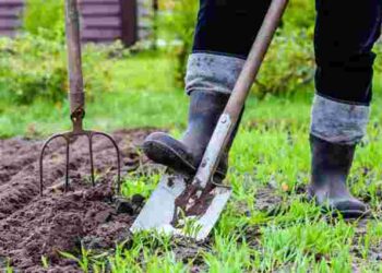 Садити чи чекати: що кажуть прикмети про працю на городі в Страсний тиждень