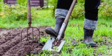 Садити чи чекати: що кажуть прикмети про працю на городі в Страсний тиждень