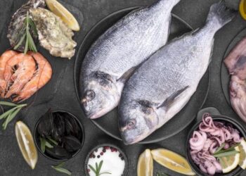 Это “останавливает время”: назвали морепродукты, которые можно покупать только из морозильной камеры