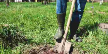 Перекопувати город більше не доведеться: яка проста дія полегшить садівництво