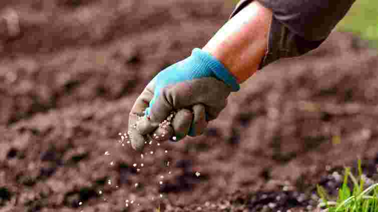 Робіть це поки земля ще мокра: що потрібно розсипати на городі для щедрого врожаю