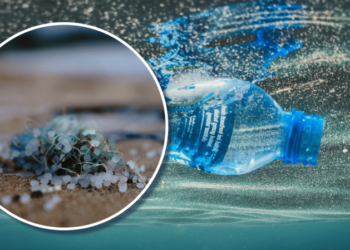 Школярка створила фільтр для води, що прибирає 95% мікропластику