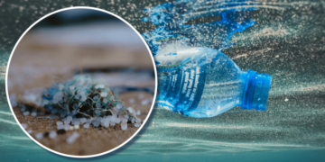 Школярка створила фільтр для води, що прибирає 95% мікропластику