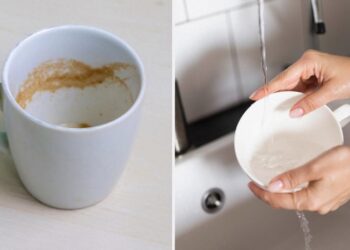 Як прибрати наліт від чаю та кави з чашок за лічені хвилини: бабусин лайфхак