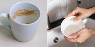 Як прибрати наліт від чаю та кави з чашок за лічені хвилини: бабусин лайфхак