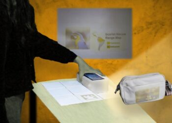 В MIT створили пристрій для нанесення високоякісних персоналізованих зображень на одяг та предмети