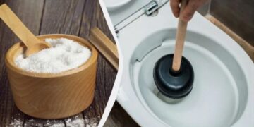 Звичайна кухонна сіль розчинила засмічення в унітазі за 10 хвилин: скільки треба насипати