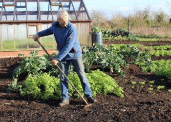 Як захистити сад і город від весняних морозів: хитрощі, що працюють