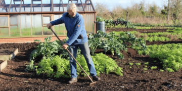Як захистити сад і город від весняних морозів: хитрощі, що працюють