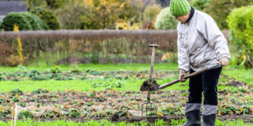 Зробіть це на городі до Страсної п’ятниці: зберете щедрий врожай