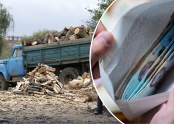 Гроші на дрова: хто може отримати та від чого залежить сума у 2026 році