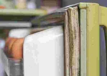 Техніка працюватиме довше: чим почистити ущільнювач холодильника