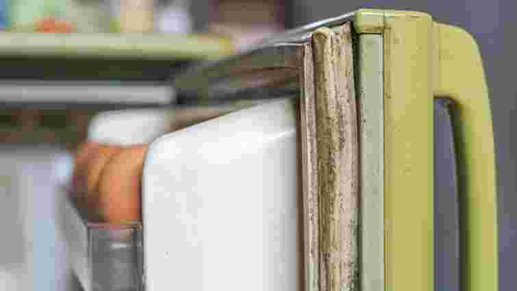 Техніка працюватиме довше: чим почистити ущільнювач холодильника