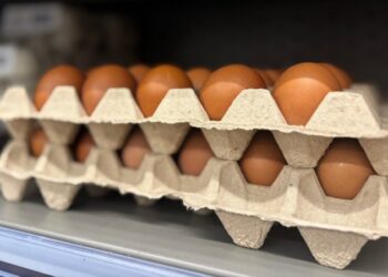 На яйця переписали ціни: скільки мають заплатити українці в супермаркетах